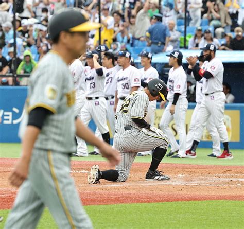 【阪神】岡田監督激怒「1つの負けですまんよ。大変な負けやで」救援陣の準備不足で逆転負け プロ野球写真ニュース 日刊スポーツ