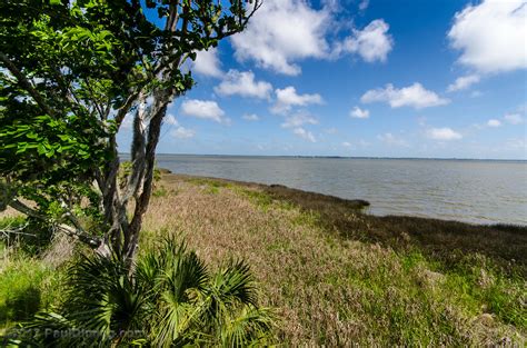 Elevation of Apalachicola, FL, USA - Topographic Map - Altitude Map