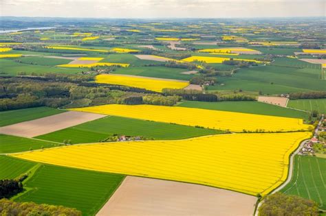 Bad Sassendorf aus der Vogelperspektive Feldlandschaft gelb blühender