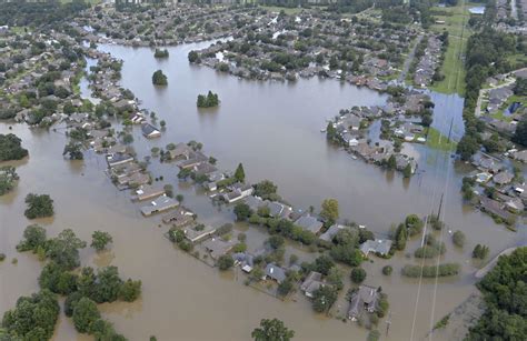 Art / Relief • Louisiana Flood Relief — OLD BRAND NEW