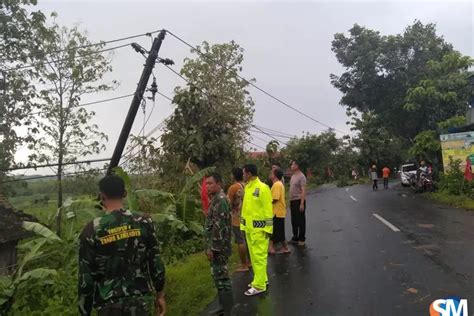 Angin Kencang Melanda Manyaran Pohon Dan Tiang Listrik Tumbang Suara