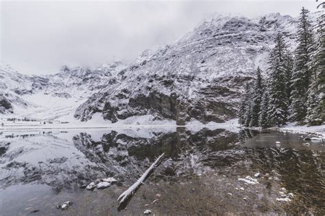 Free Images Tree Wilderness Snow Winter Lake Mountain Range Ice