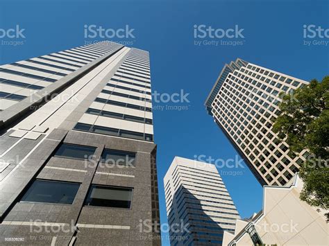 Gedung Bertingkat Tinggi Di Tokyo Foto Stok Unduh Gambar Sekarang