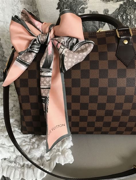 Louis Vuitton Speedy B Damier Ebene Literacy Basics