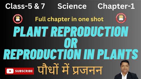 Plant Reproduction Class 5 Reproduction In Plants Reproduction In