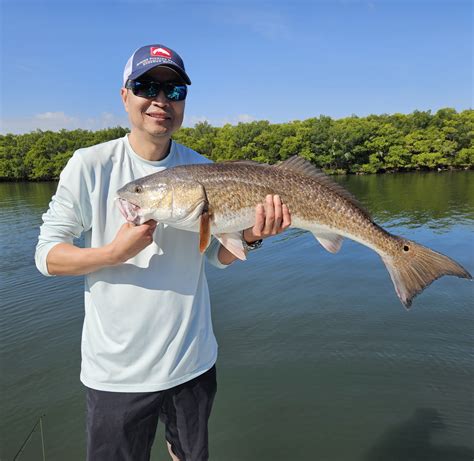 Tampa Bay Flats Fishing Tampa Bay Fishing Charters