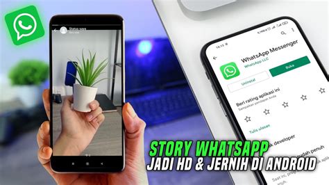 Terbaru Cara Membuat Story WA Menjadi HD Di Semua Android YouTube