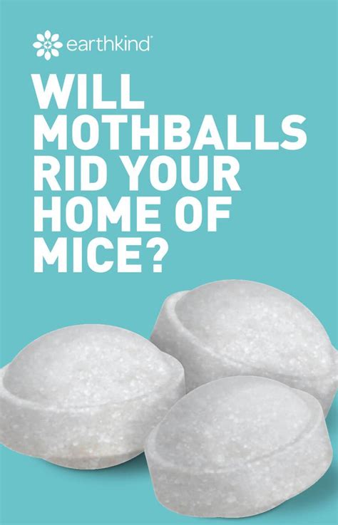 Will Mothballs Rid Your Home Of Mice Discover The Truth Earthkind