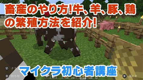 【マイクラ初心者講座】畜産のやり方！牛、羊、豚、鶏（ニワトリ）の繁殖方法の紹介！動物を増やして食料、ミルクなどを確保しよう！動物の増やし方