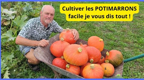 Comment Semer Et Cultiver Les Courges Et Potimarrons Au Jardin Youtube