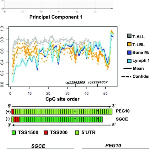 Principal Component Analysis Pca Of Global Dna Methylation Pca