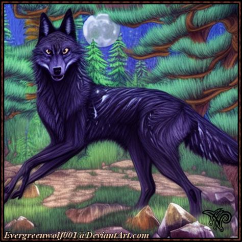 Shade The Shadow Wolf By Evergreenwolf001 On Deviantart