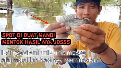 Plung Nyut Mancing Ikan Nila Di Spot Belakang Rumah Banjir Youtube