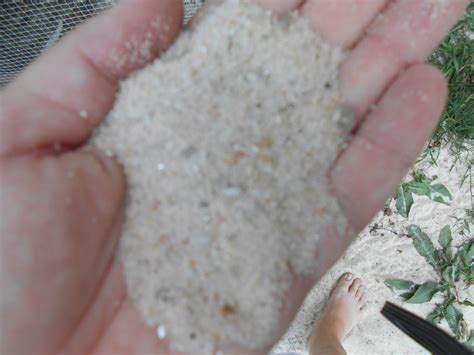 Quikrete All Purpose Sand For Pool Base Online Wholesale