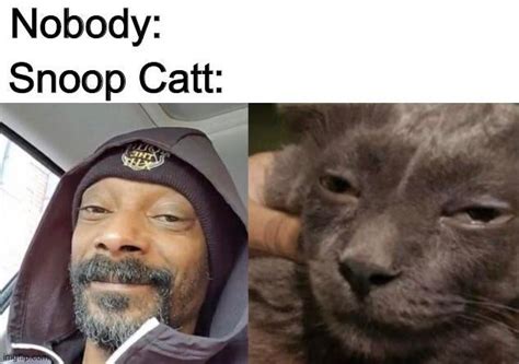 Snoop Catt Rmemes