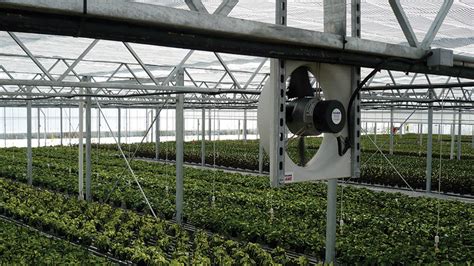 Four Keys To Optimal Air Flow In The Greenhouse Greenhouse Grower