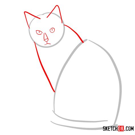 How to draw the Siamese cat - Sketchok easy drawing guides