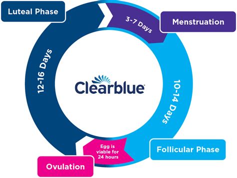 Period Cycle Chart