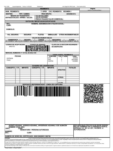 Pedimento En Blanco Descargar Gratis Pdf Aduana Economias