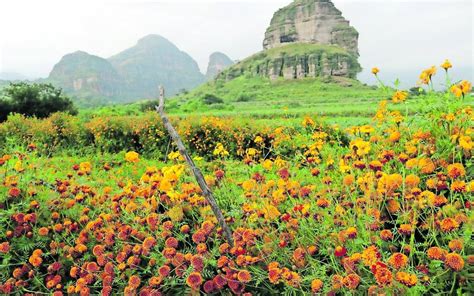 De Pinta Evoluciona Alfarer A De Tlayacapan El Sol De Cuernavaca