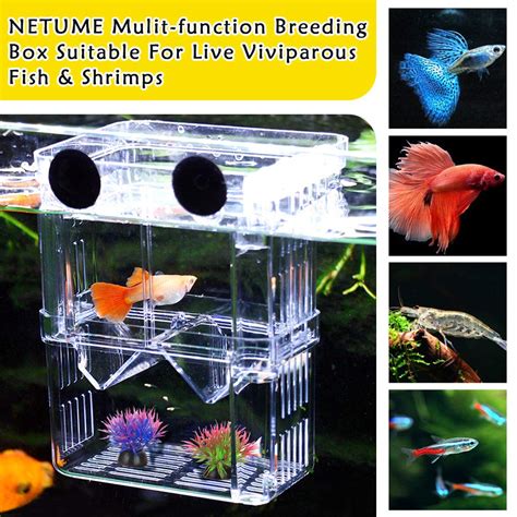 Aquarium Fish Breeding Box Netuem Acrylic Double Layer Fish Isolation