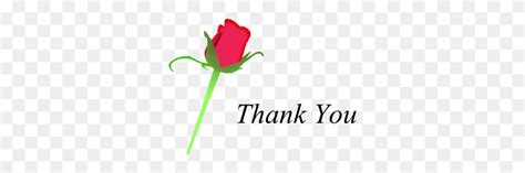 Thank You Flowers Clip Art - Thank You Flowers Clipart - FlyClipart