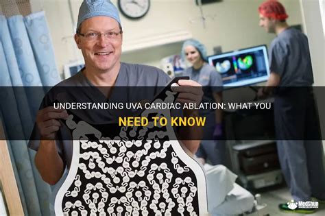 Understanding Uva Cardiac Ablation What You Need To Know Medshun