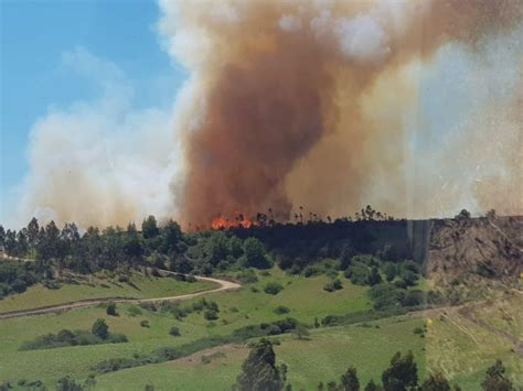 Onemi Declaró Alerta Roja En Litueche Por Incendio Forestal