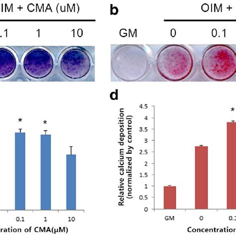 Alp Activity Evaluated By Alp Staining And Calcium Nodule Deposition Download Scientific