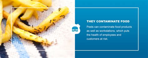 Food Safety and Pest Control | Everything You Need to Know