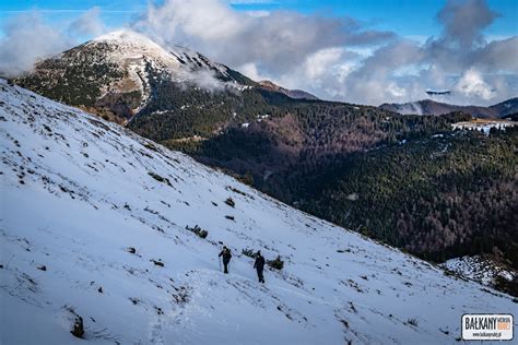 Ma A Fatra Z Psem Trekking Na Chleb Ba Kany Wed Ug Rudej