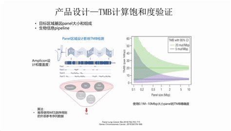 肿瘤ngs大panel检测的标准化及研究进展（二）