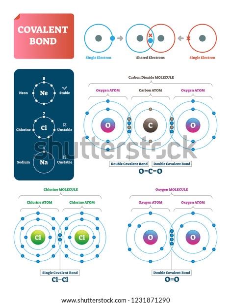 Covalent Bond Vector Illustration Process Explanation Stock Vector