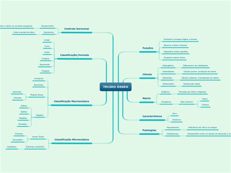 TECIDO ÓSSEO Mapa Mental