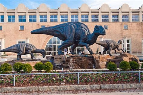 Fernbank Museum of Natural History: Home to the Largest Dinosaur