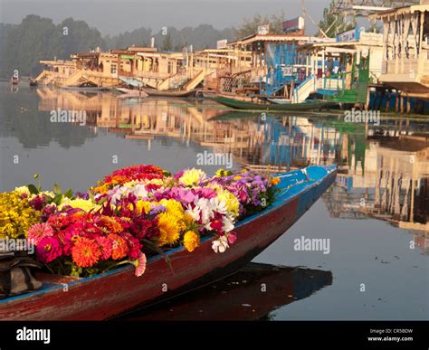 Flowers Are Sold From A Shikara Traditional Boat On Dal Lake Stock