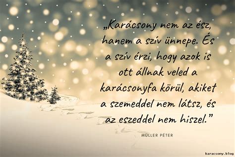 Müller Péter karácsonyi idézet | Christmas time, Husi, Christmas and new year