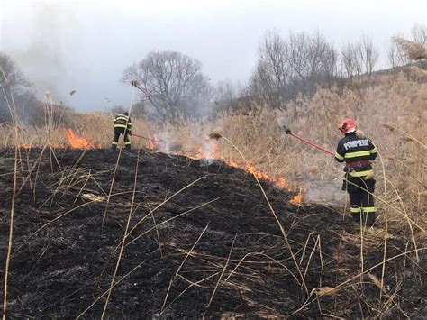 FOTO Incendiu de vegetație în apropiere de autostradă la Amnaș