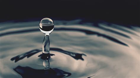 Water droplet HD wallpaper | Wallpaper Flare