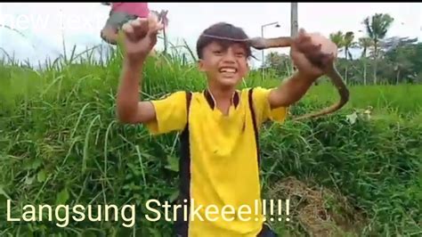 Spot Baru Mancing Belut Datang Langsung Strike Youtube