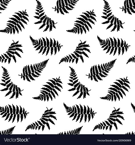 Pattern of fern leaf Royalty Free Vector Image