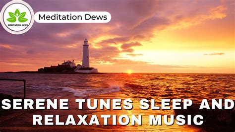 Serene Tunes Relaxation Music Sleep Music Calming Music