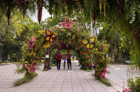 Festival De Flores Y Jardines Conoce Fechas Y Sede