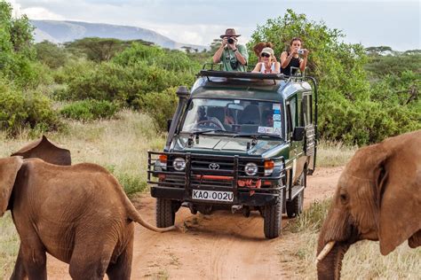 Sunset Game Drive in Kruger National Park, Kruger National Park | kimkim