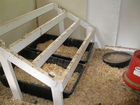 Functional Chicken Roost: 9-Step Project for Healthy Chooks – DIY ...