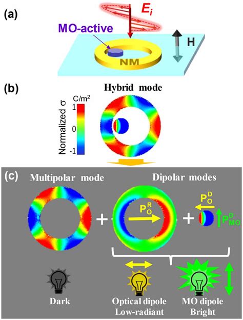 Publication Of The Magneto Optics Roadmap Cic Nanogune