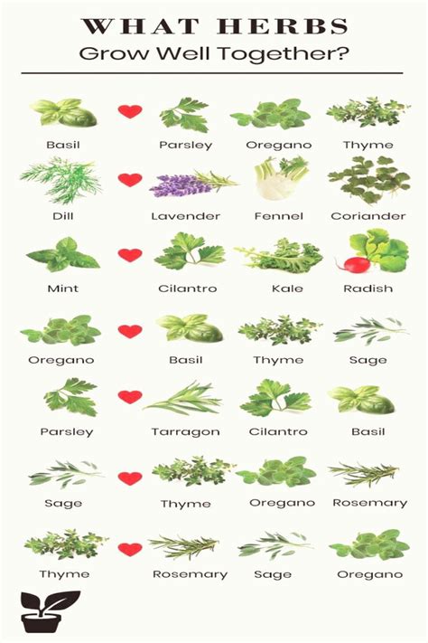 Printable Herb Companion Planting Chart Printable Calendars At A Glance