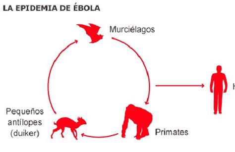 Todo Preparado En Madrid Para Recibir Al Español Enfermo De Ébola