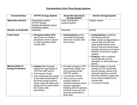 Energy Systems Anatomy