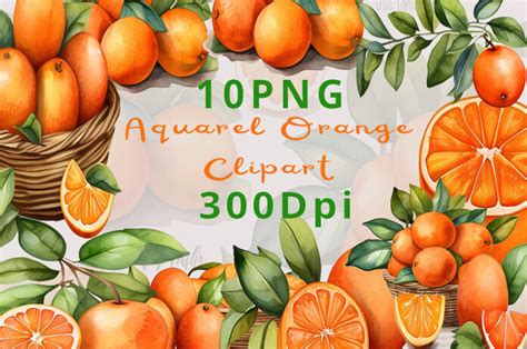 10 Watercolor Oranges Clipart Fruit Graphic By Azouisma Creative Fabrica